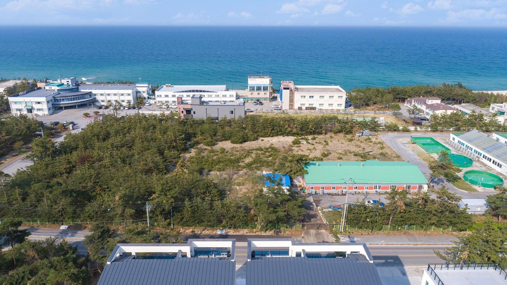 Gangneung Joeungot Poolvilla Zewnętrze zdjęcie